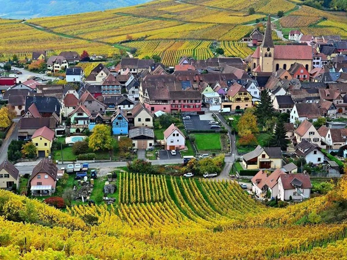 Le Gite Du Sommerberg ニーデルモルシュヴィル・Niedermorschwihr-仏語 エクステリア 写真
